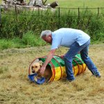 Agility Course 04